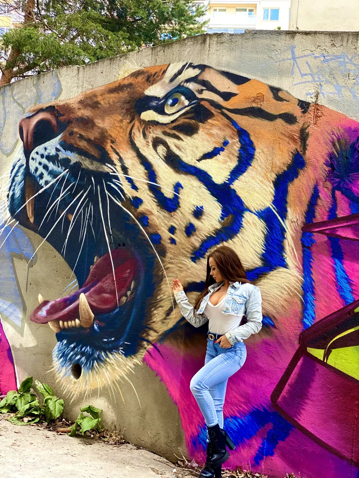 Maľba tigra na stene v životnej veľkosti — trick art Grint