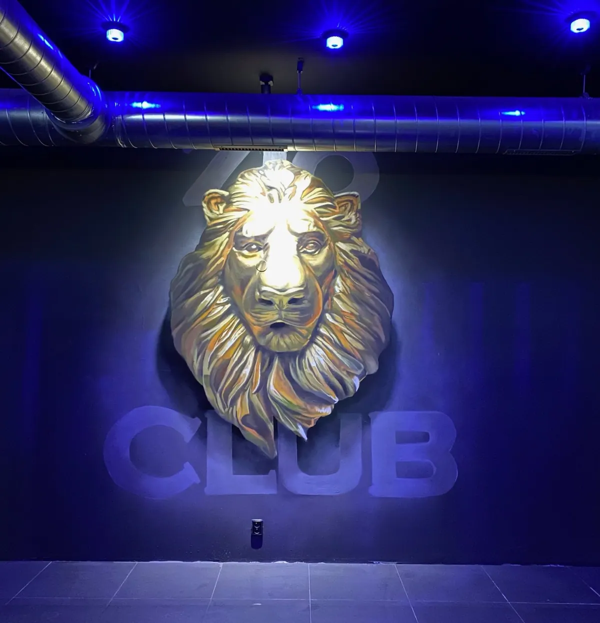 Maľba zlatého leva s nápisom Club na modrej stene
